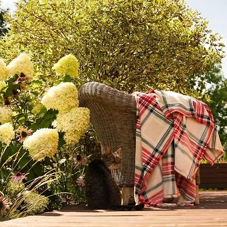 Pod Lipami Vila Bartoszyce