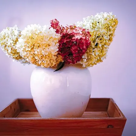 Pod Lipami Vila Bartoszyce