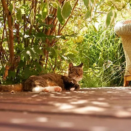 Pod Lipami * Bartoszyce