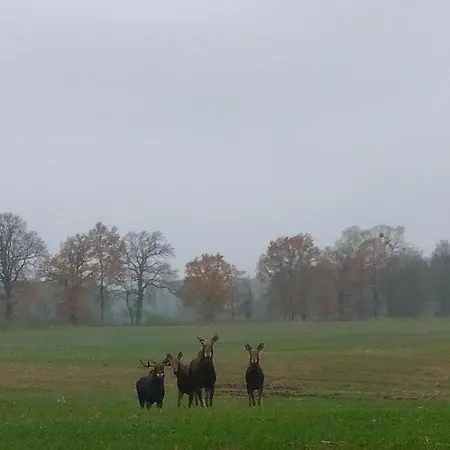 Pod Lipami Bartoszyce